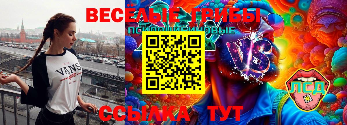 Псилоцибиновые грибы MAGIC MUSHROOMS  Вход с VPN  Псилоцибиновые грибы Psilocybe  Ялуторовск 