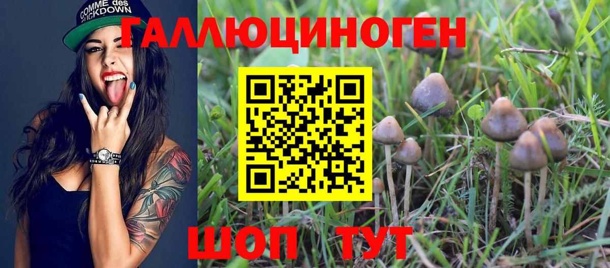 Галлюциногенные грибы мицелий Ялуторовск
